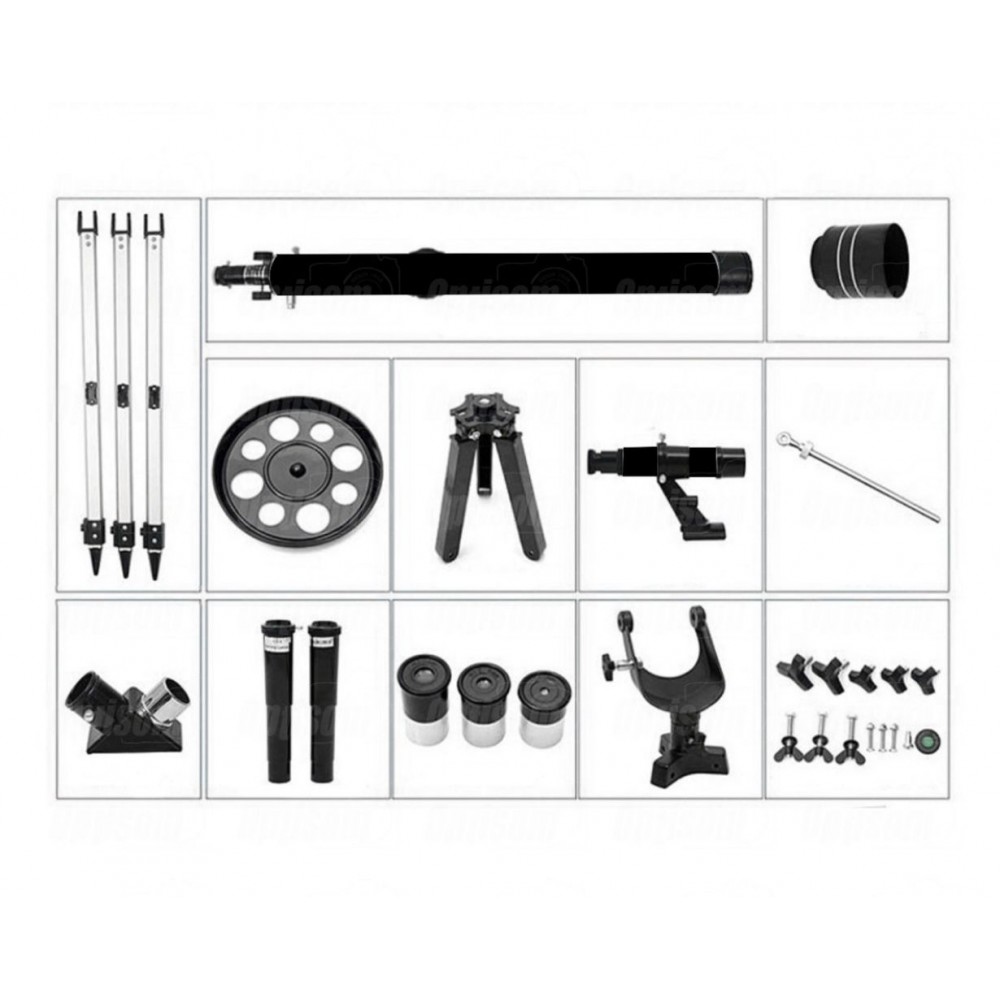 WhatsApp Image 2022-11-14 at